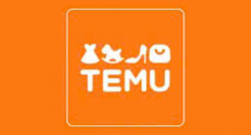 Sàn thương mại điện tử đưa hàng giá rẻ vào thị trường Việt Nam