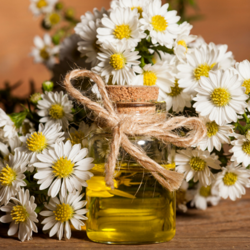Tinh dầu hoa cúc